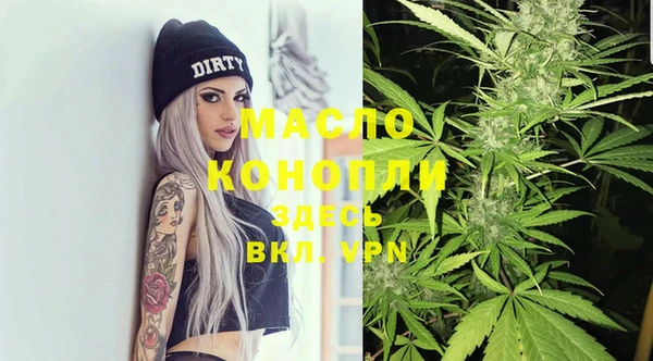 стаф Гусь-Хрустальный