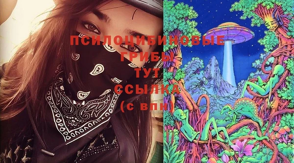 a pvp Гусиноозёрск