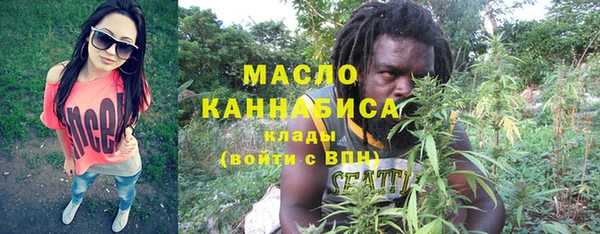 стаф Гусь-Хрустальный