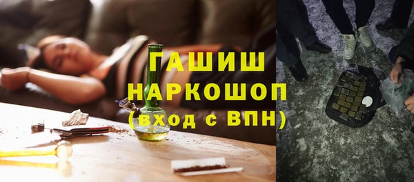 стаф Гусь-Хрустальный